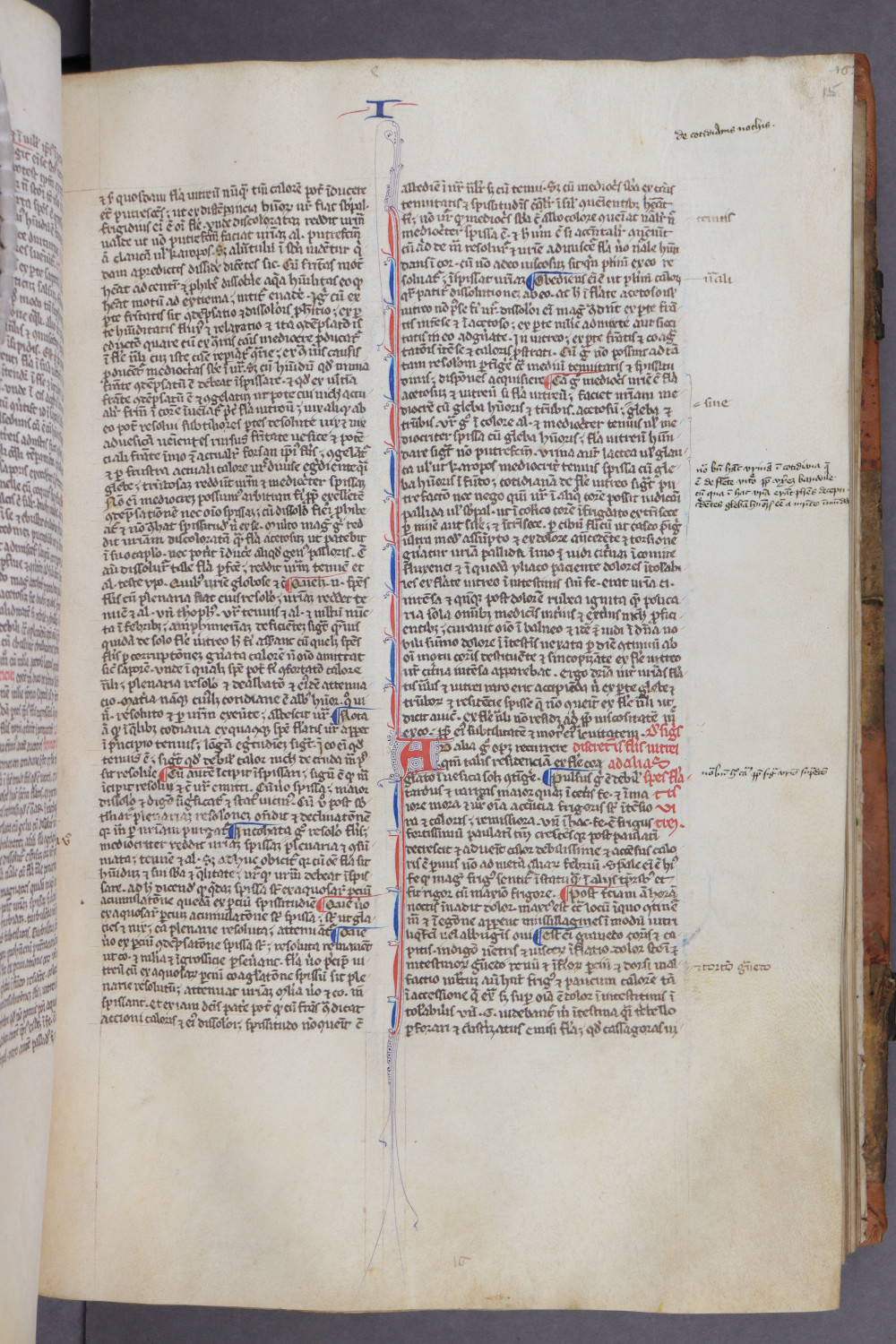 Folio 15 recto